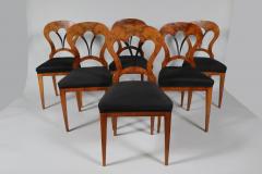 Fine Biedermeier Set of Six Chairs Table Vienna c 1825  - 3460272