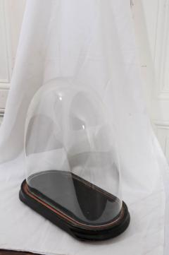 Fine French 19th Century Blown Glass Dome - 1344354