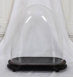 Fine French 19th Century Blown Glass Dome - 1344359