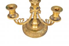 Fine Pair Of Charles X Gilt Bronze Bouillotte Lamps - 4187430