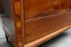 Fine Pair of Large Biedermeier Chests 19th Century - 3571016