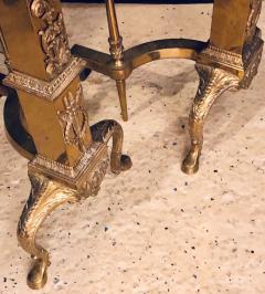 Fine Pair of Large and Impressive Louis XVI Style Brass and Irons - 2982521