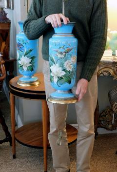 Fine pair of French blue opaline lamps w polychromed decoration - 2395179