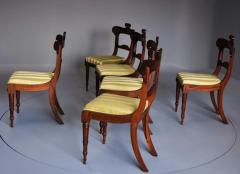 Fine quality set of six Regency rosewood dining chairs - 4799841