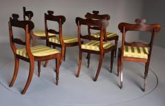 Fine quality set of six Regency rosewood dining chairs - 4799844