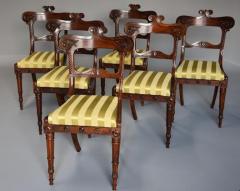 Fine quality set of six Regency rosewood dining chairs - 4799845