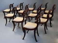 Fine quality set of thirteen Regency simulated rosewood dining chairs - 4752835