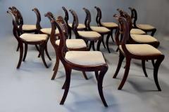 Fine quality set of thirteen Regency simulated rosewood dining chairs - 4752836