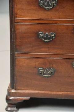 Fine quality small George III mahogany chest of drawers - 4806185