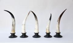Five Horn Sculptures - 4124343