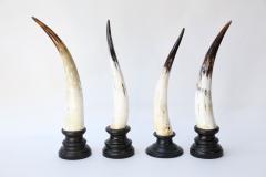 Five Horn Sculptures - 4124344