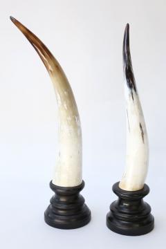 Five Horn Sculptures - 4124345