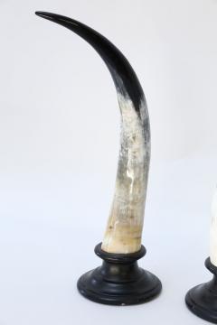 Five Horn Sculptures - 4124347