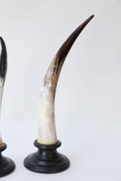 Five Horn Sculptures - 4124348