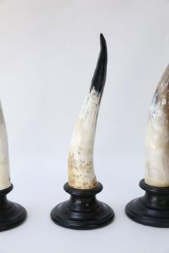 Five Horn Sculptures - 4124349