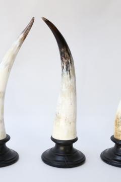 Five Horn Sculptures - 4124350
