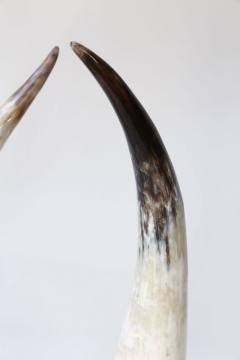 Five Horn Sculptures - 4124351