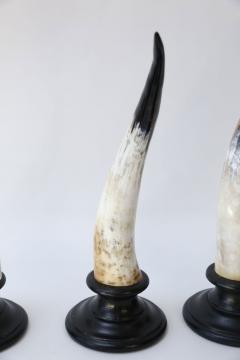 Five Horn Sculptures - 4124352