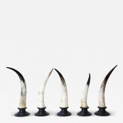 Five Horn Sculptures - 4124702