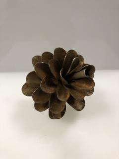 Floyd Elzinga Pine Cone 19 690 - 1670049