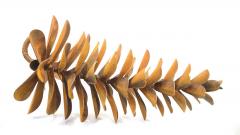 Floyd Elzinga Pine Cone 25 278 - 4230533