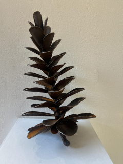 Floyd Elzinga Pinecone 25 329 - 4422119
