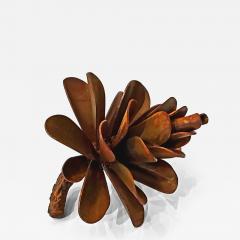 Floyd Elzinga Pinecone 25 332 - 4447202