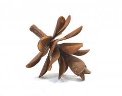 Floyd Elzinga Pinecone 25 365 - 4456218