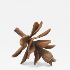 Floyd Elzinga Pinecone 25 365 - 4456886