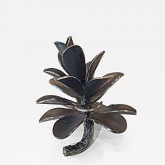 Floyd Elzinga Pinecone 25 366 - 4426880