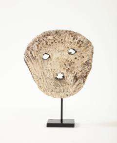 Fossilized Coral Animist Mask by the Atomi People of Timor - 3365310