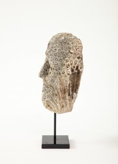 Fossilized Coral Animist Mask by the Atomi People of Timor - 3365314