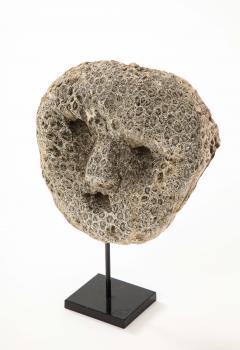 Fossilized Coral Animist Mask by the Atomi People of Timor - 3365317
