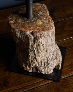 Fossilized Wood Table Lamp France 20th C - 4694820