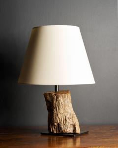Fossilized Wood Table Lamp France 20th C - 4694821