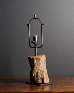 Fossilized Wood Table Lamp France 20th C - 4694823