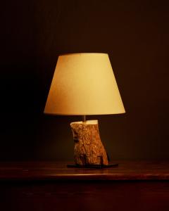 Fossilized Wood Table Lamp France 20th C - 4694825