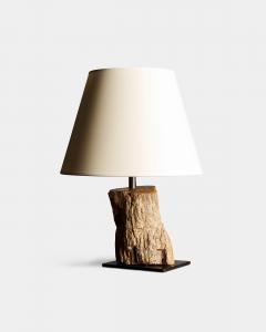 Fossilized Wood Table Lamp France 20th C - 4694883