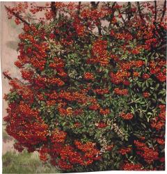 Fr d rique Bachellerie Pyracantha - 4043269