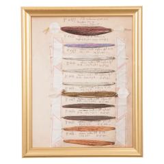 Framed 19th Century French Fiber Samples - 1367289