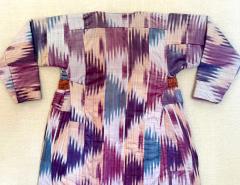 Framed Antique Silk Ikat Chapan Robe Central Asia with Provenance - 4310535
