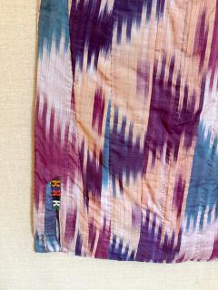 Framed Antique Silk Ikat Chapan Robe Central Asia with Provenance - 4310543
