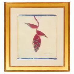 Framed Botanical Print By Linda L Broadfoot - 4140174