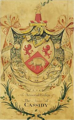 Framed Coat of Arms for Cassidy - 3917525