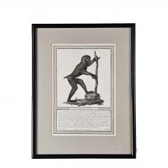 Framed Engraving Il Bobbuino di Bosco Italy circa 1812 - 3530758