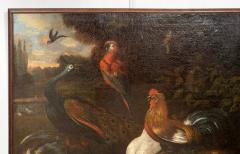 Framed European Still Life Of Birds - 4810247
