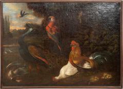 Framed European Still Life Of Birds - 4811312