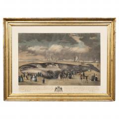 Framed Print Of A Fin Whale - 4396614