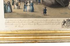 Framed Print Of A Fin Whale - 4396635