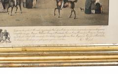 Framed Print Of A Fin Whale - 4396649